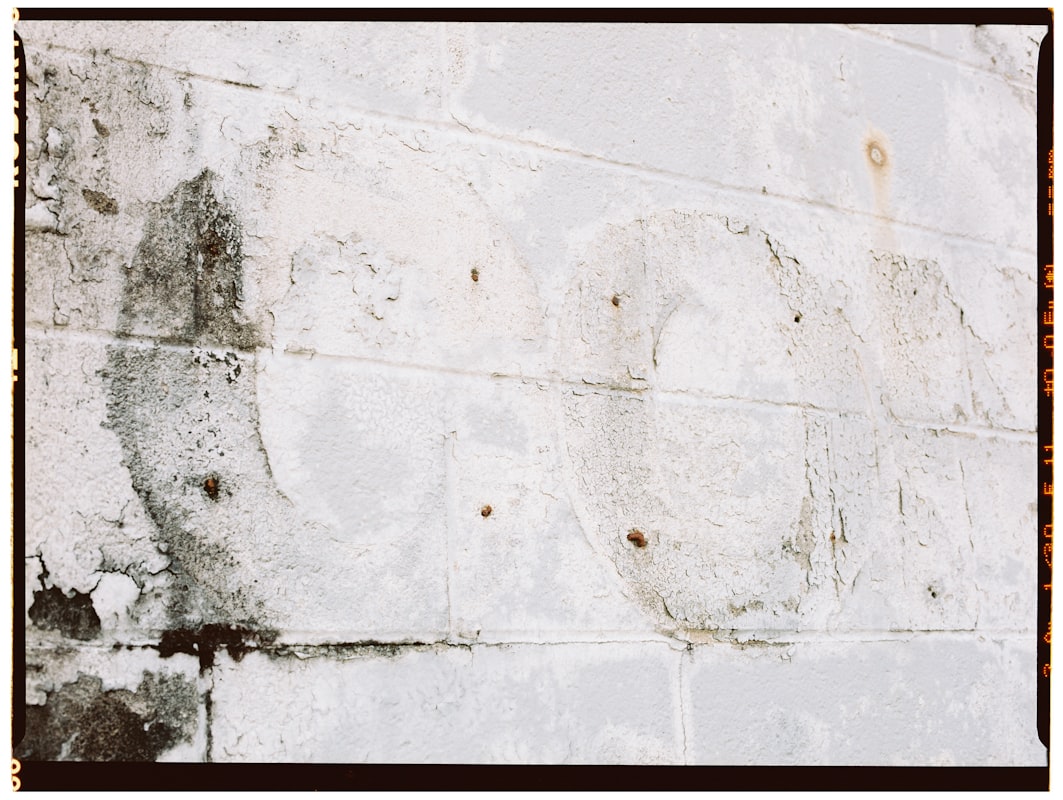 Mold Remediation service in Salinas, CA